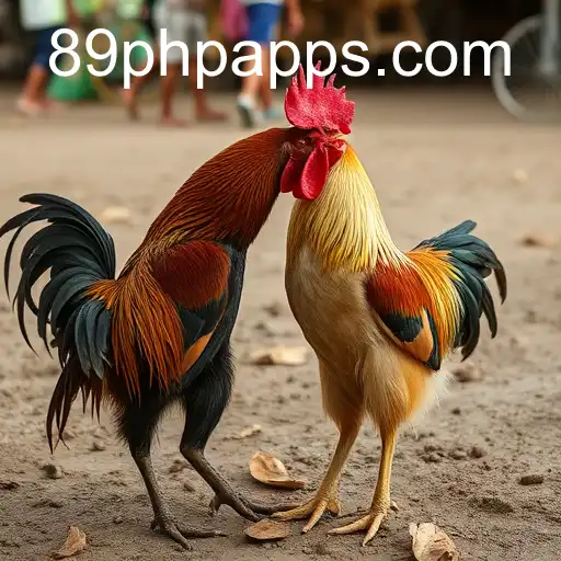 Exploring Online Sabong Dynamics and 89PHP.com